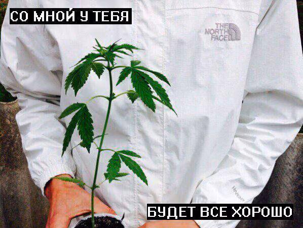 76162e64395bcfa5e6494bfc4bf3da8f.jpg
