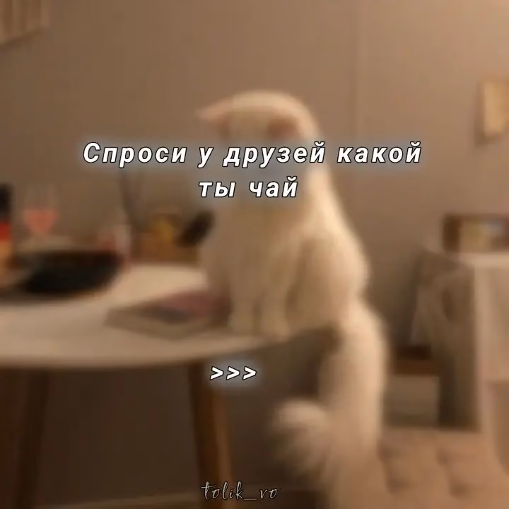 761dfe02aa6631b9ec6c378396077f55.jpg