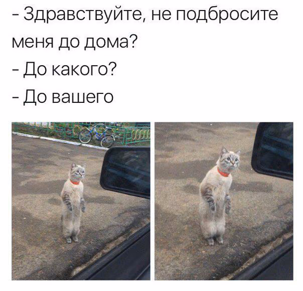 76288e9f19a3d6a85f896b90504b4623.jpg