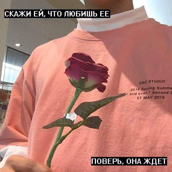 763384f1069b4b6764c563a0b1253ad0.jpg