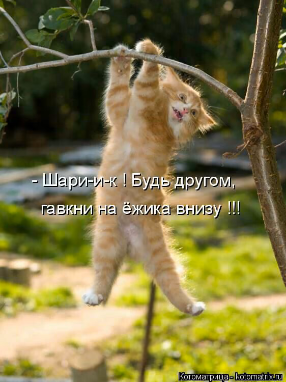 7645f9300135f4834657fcc101e2e55a.jpg