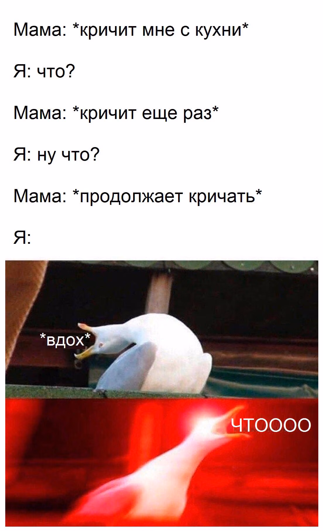 7646f1e6da829c110917d80d9ba2a7de.jpg
