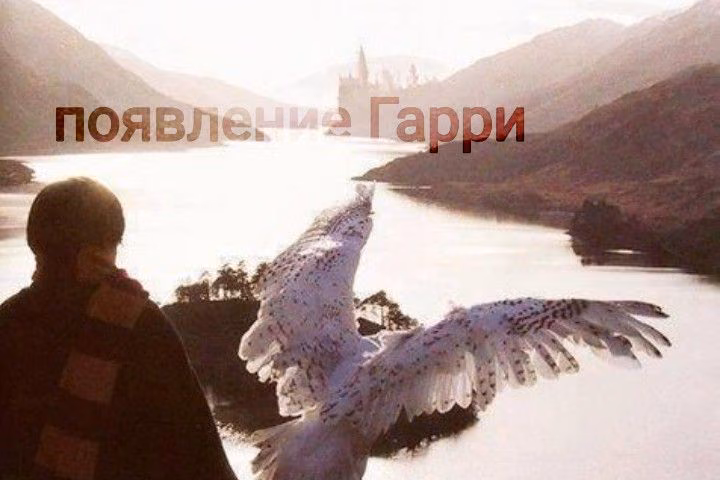 767d09cbba5b4f29b8e5c5322dee77e7.avif