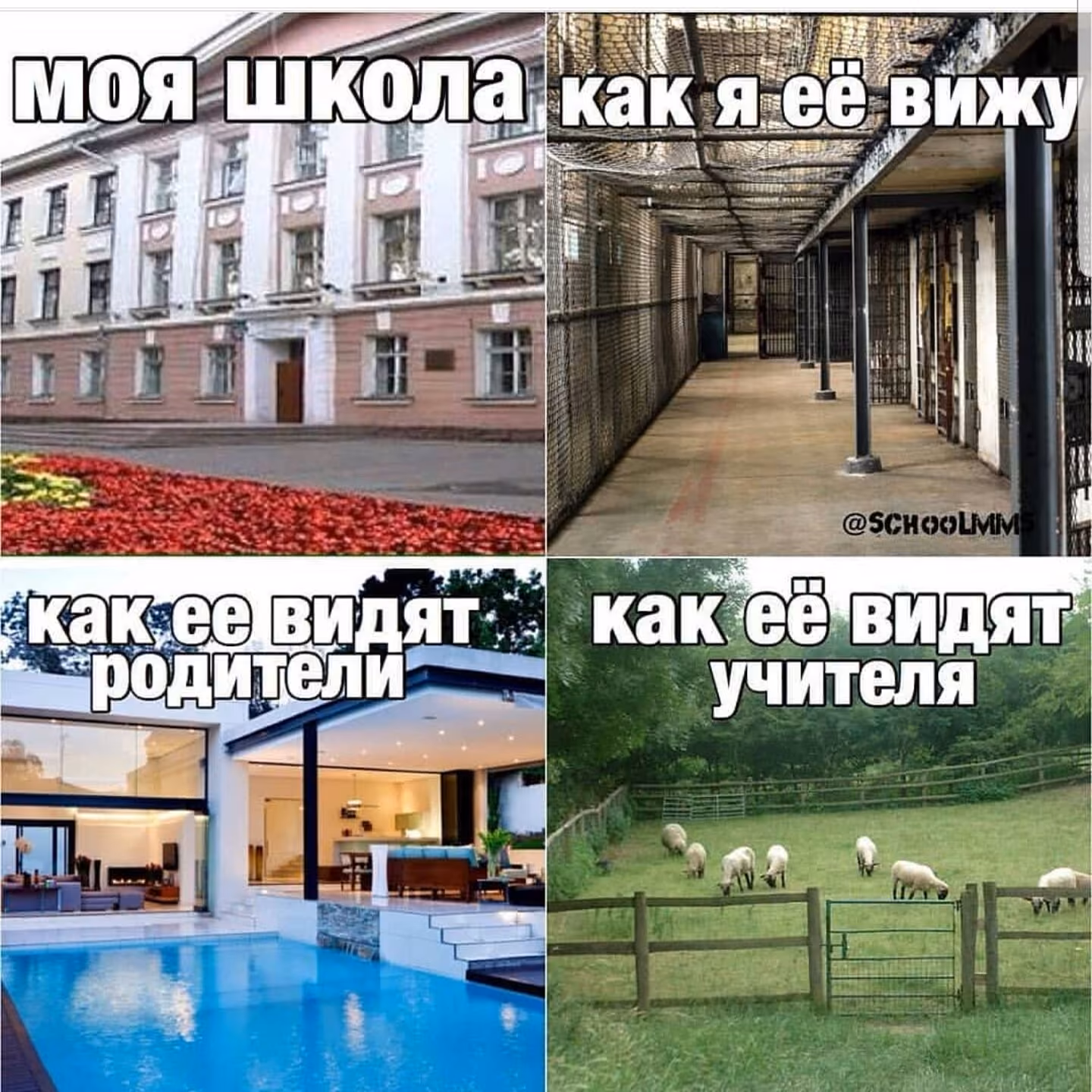 7681f8d04bc1dac0b4c069b38f417db5.avif