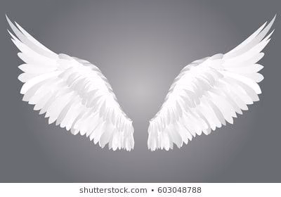 768df34ae2bd4e4fe4d94b64357ddb4d.avif