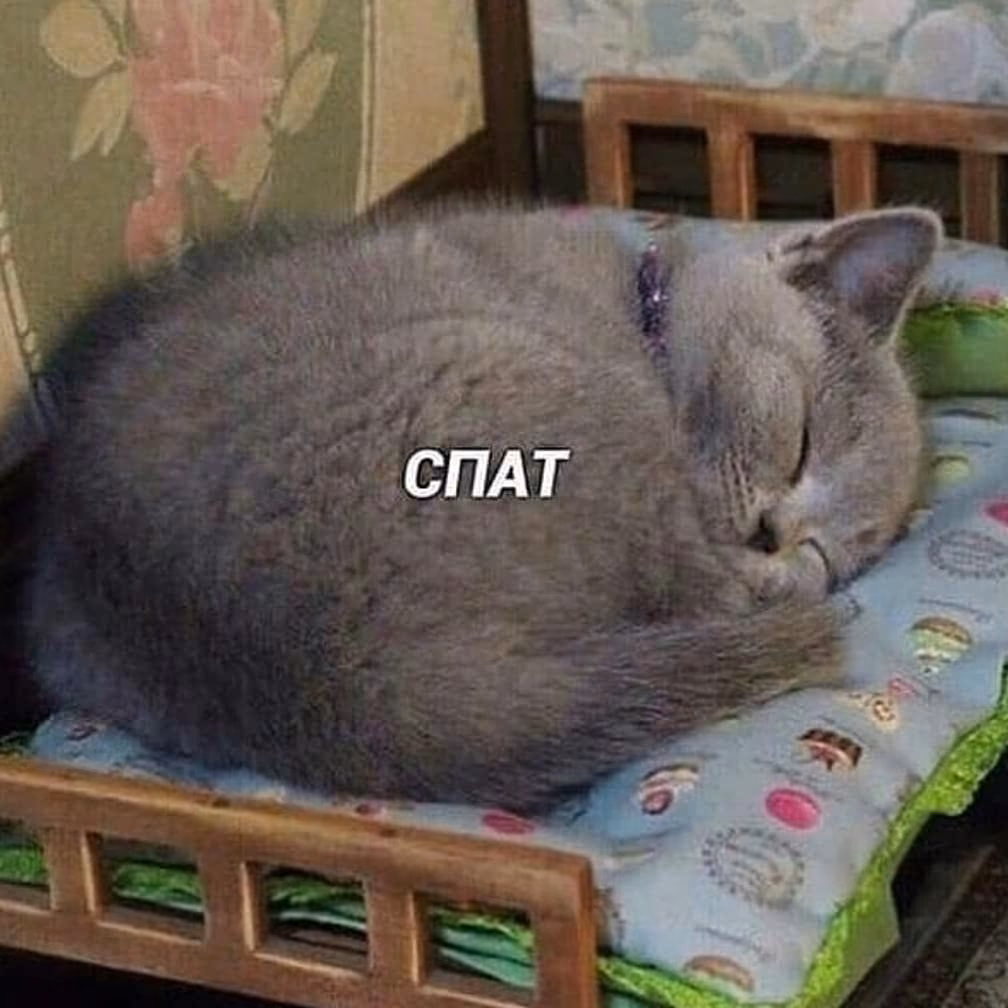 769a6eb8020bed1cf220f078244bb3fb.jpg