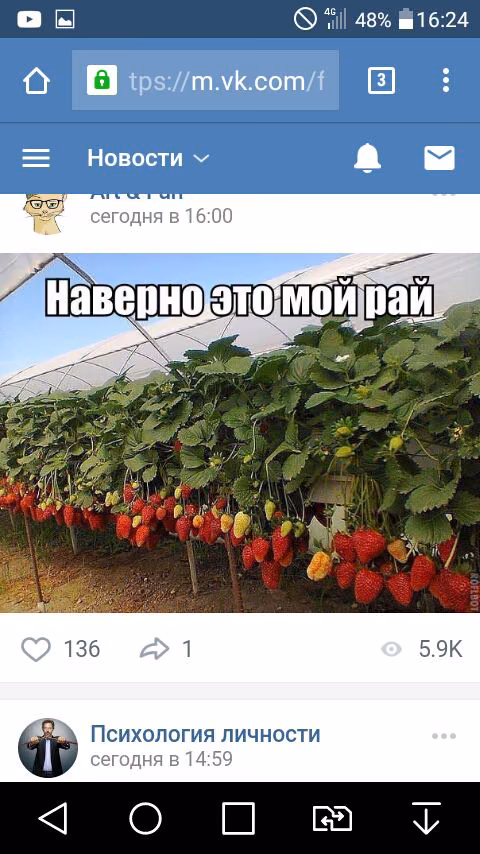 76a4f47887a2eb2078e58a946774c00b.jpg