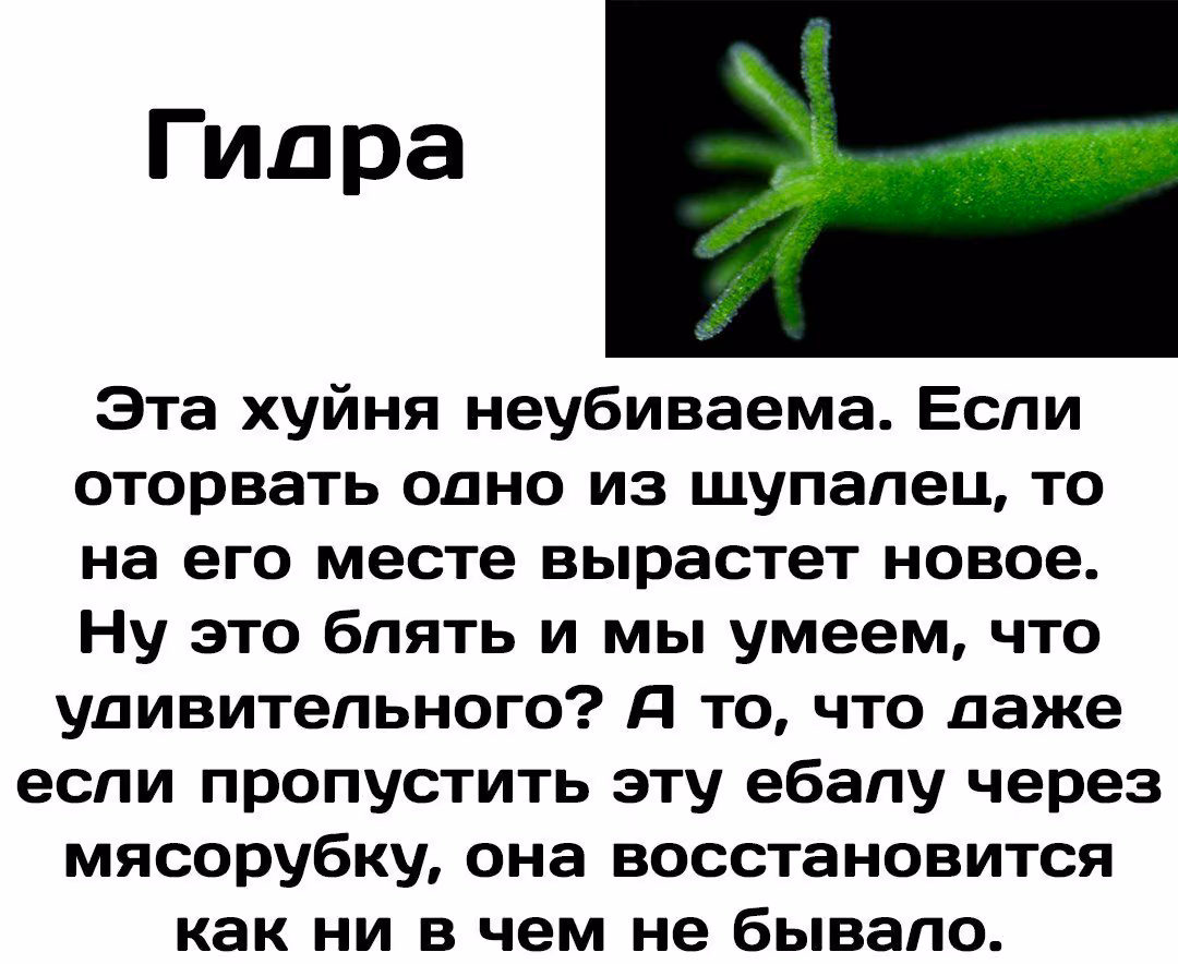 76a5a487ac831f3556720a3774b55b53.jpg