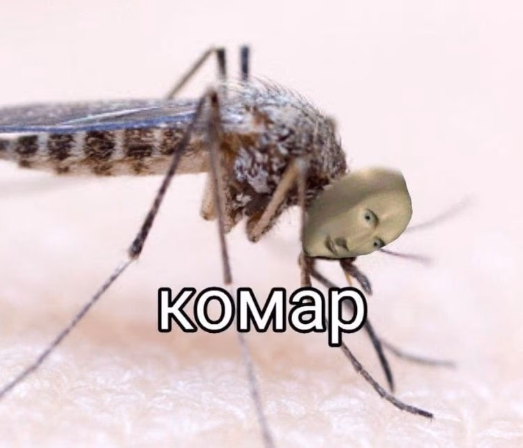 76b31f1b320698ddbcd583e8bc1b66fd.jpg