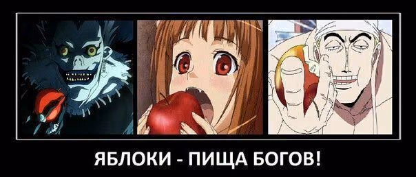 76c28a07842a226073e1dc2c4e3fe0a7.jpg