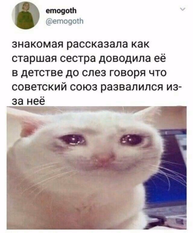 76c922c7ffaaf424c3f98d5f440aa3bc.avif