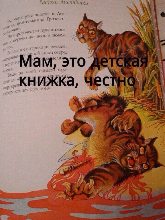 76eff7237b1231964891c8e25c6fc4d2.avif