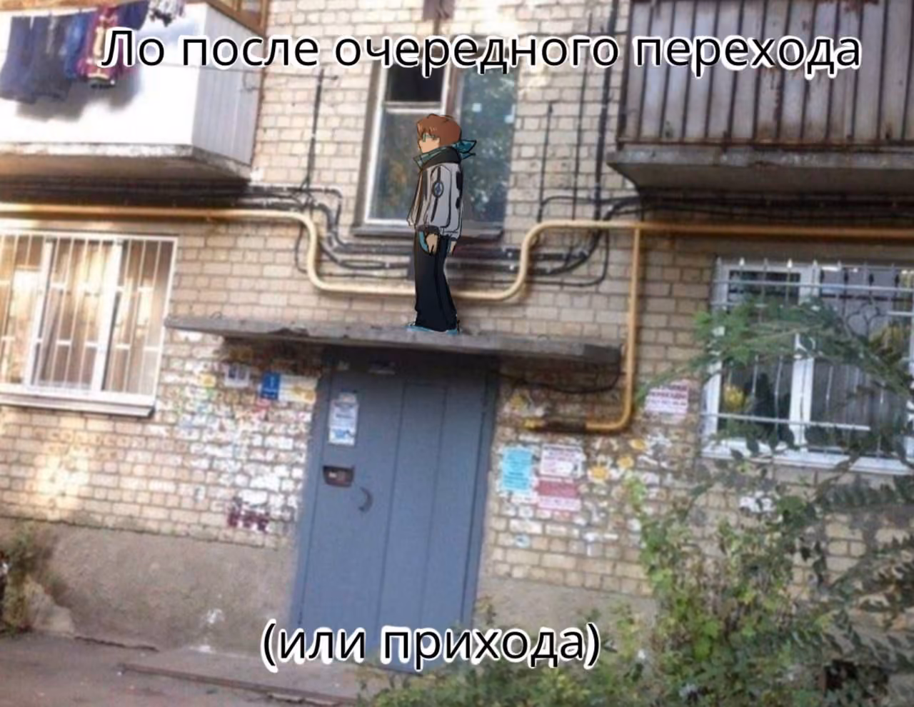 76f6ac4ec8f66fc8f3cd526e81efc04c.jpg