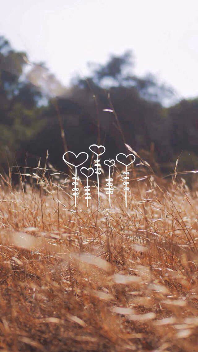 76f9c892bbad2d51b368b3c037a0e175.avif