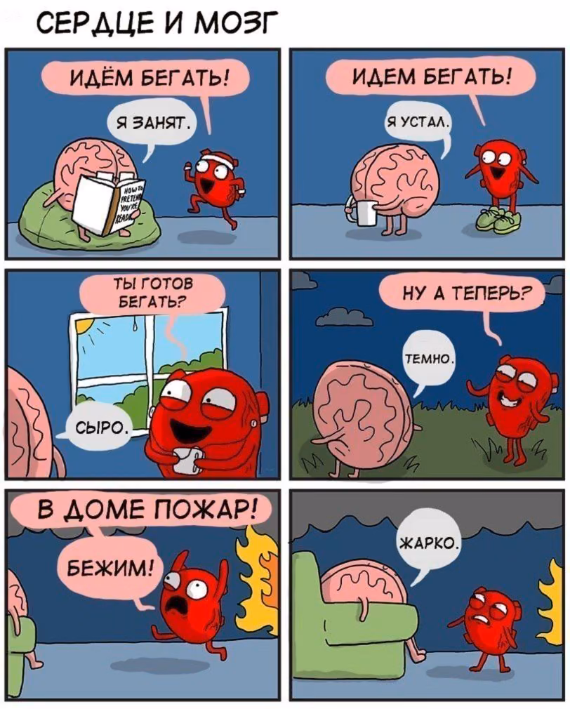 76fb87321f3b12f1717903704161956c.jpg