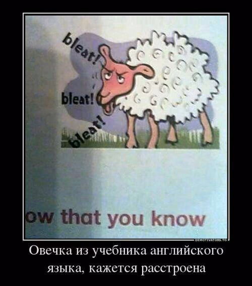 77075034b87442e8bb5f1954d854d5bc.jpg