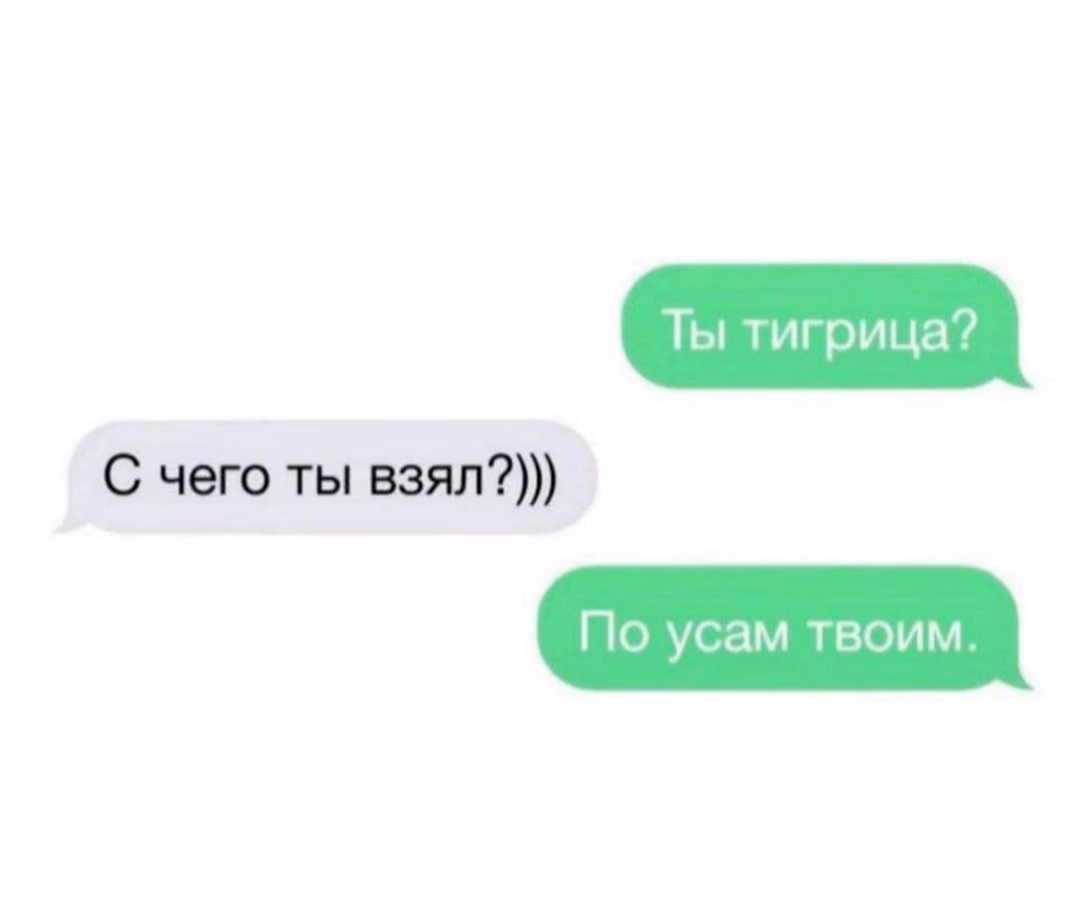 77214e1327bc851cdd57e0e27ea44474.avif