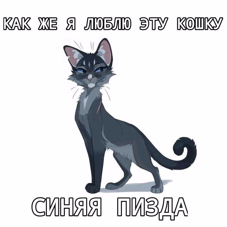 774f501ca8c6e8fc7f2b1f44b57f1057.avif