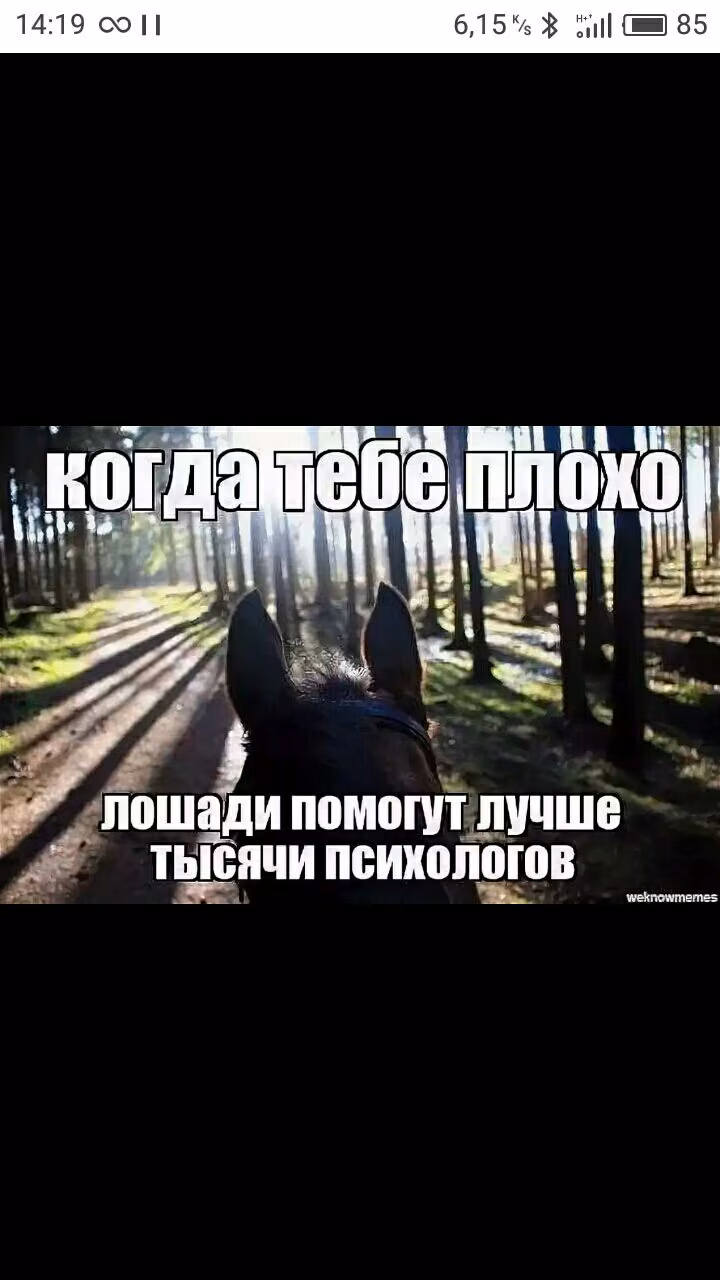775f8b290918654ea3fa04c935b72f51.avif