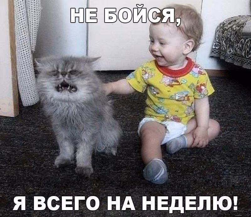 77625ce06c5075393f191d4c96139a60.jpg