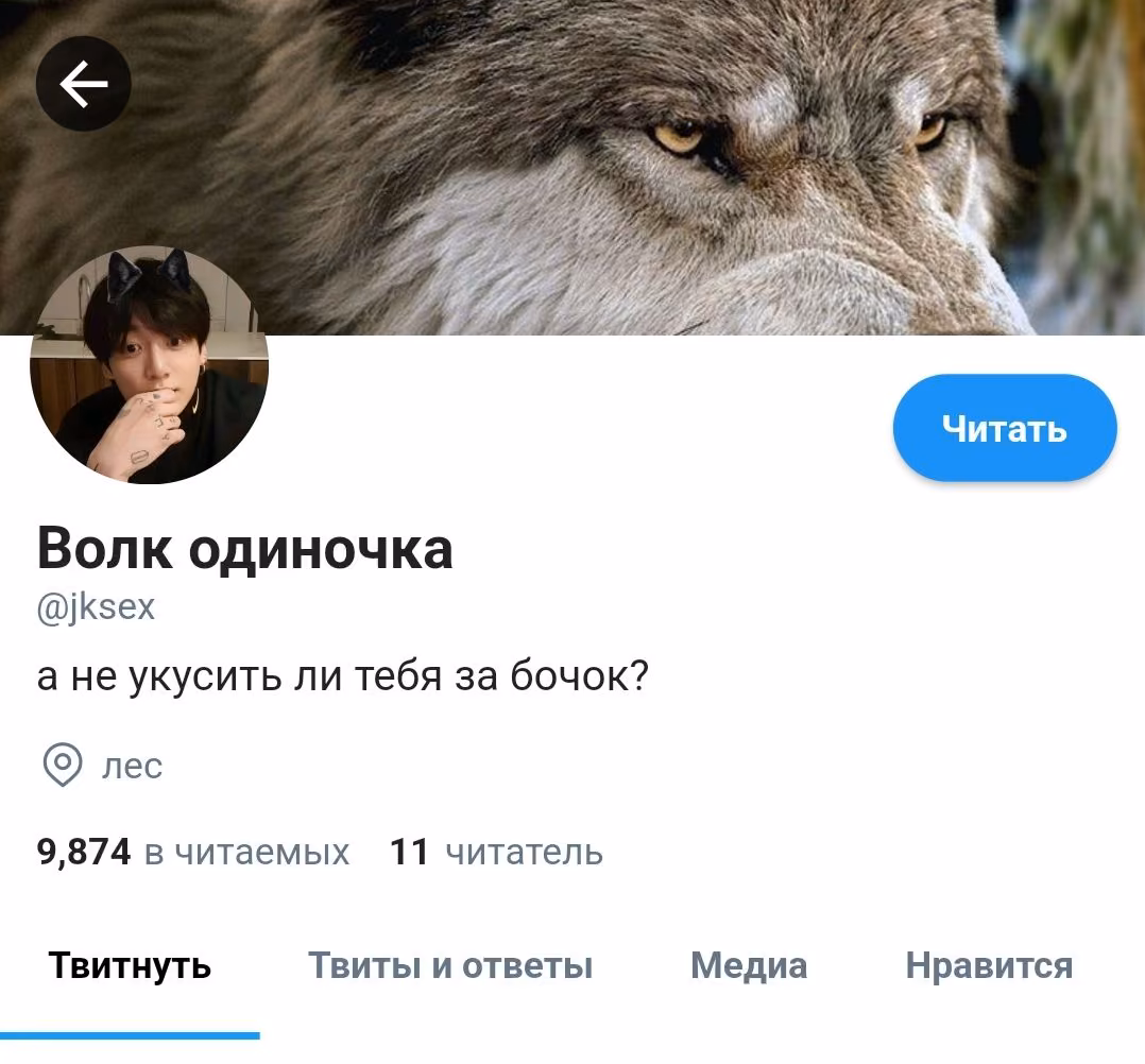 77652d2c6d11b207b5f99ca2df554b02.avif