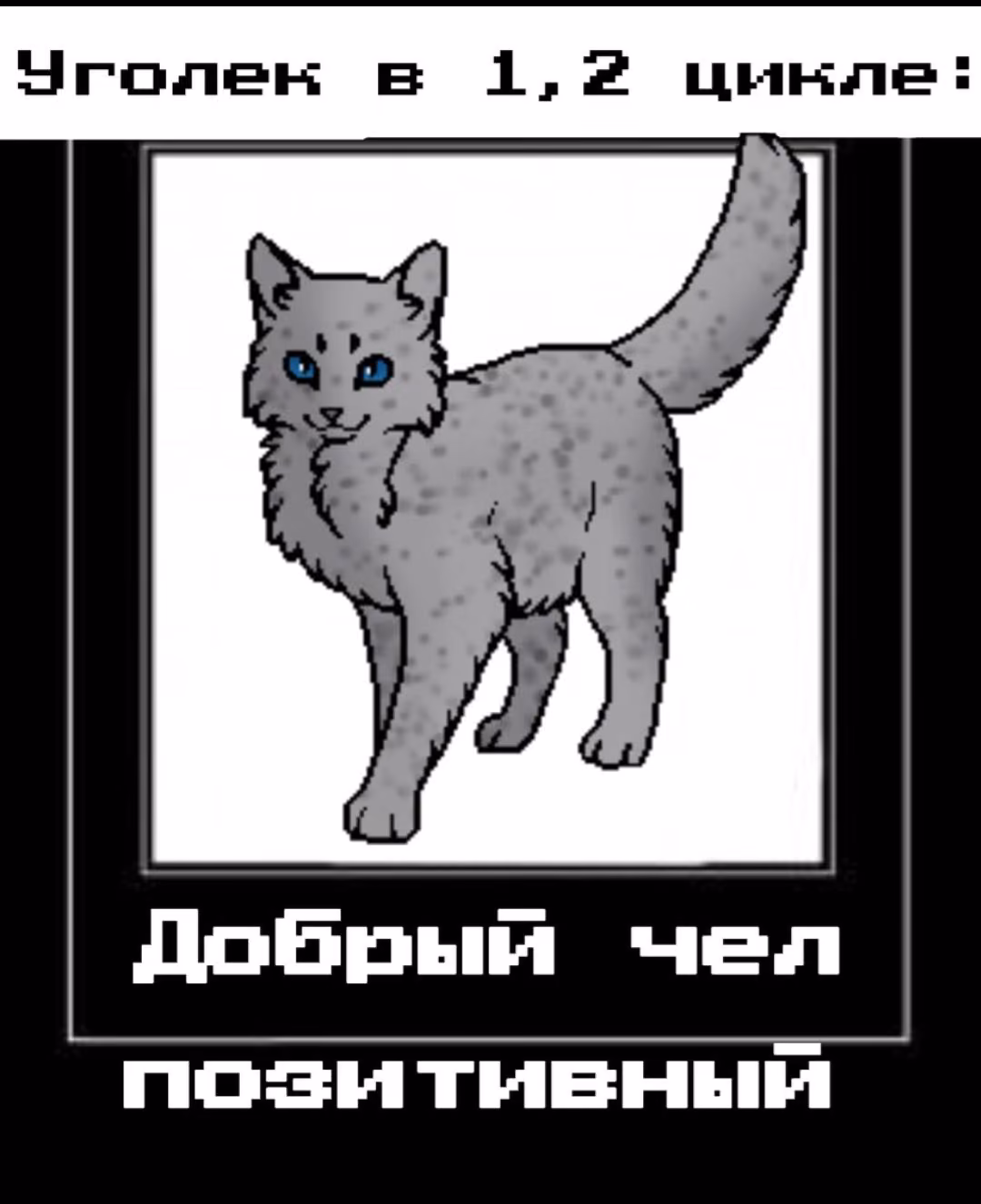 776650a9b23c6f6c59aacfb2356015e6.avif