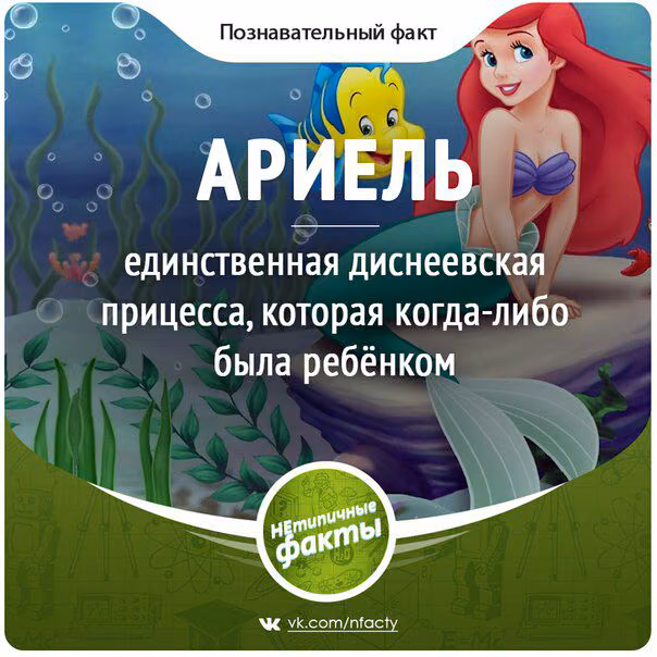776a264ecda29c8180724584d0f560f7.avif