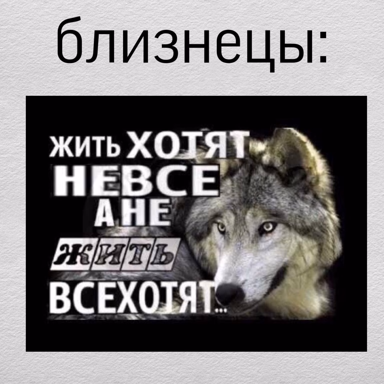 7786900060d38f4456d94830e40551b7.avif