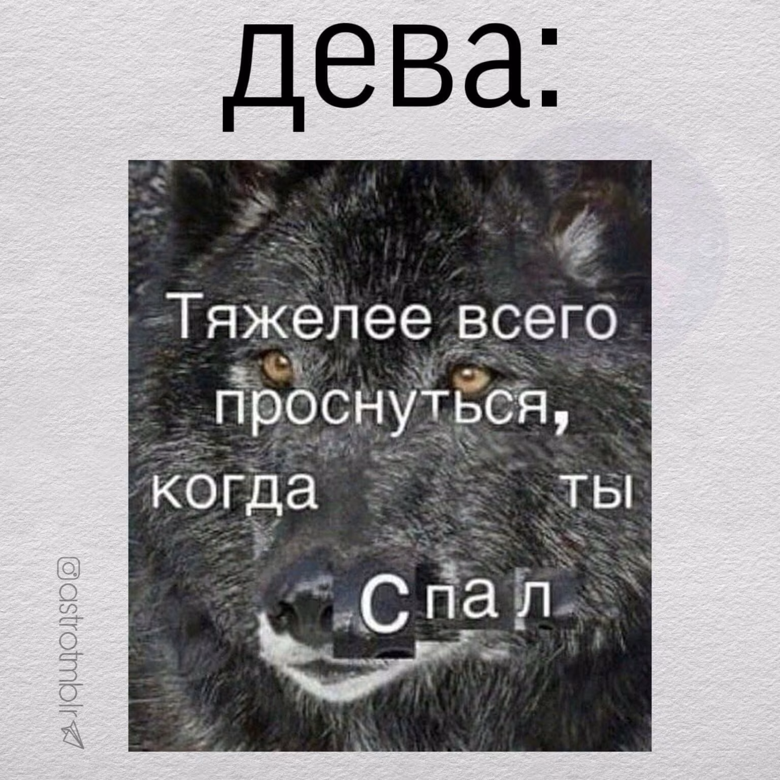 778a89861ab5fd58877e0901266aca5d.avif