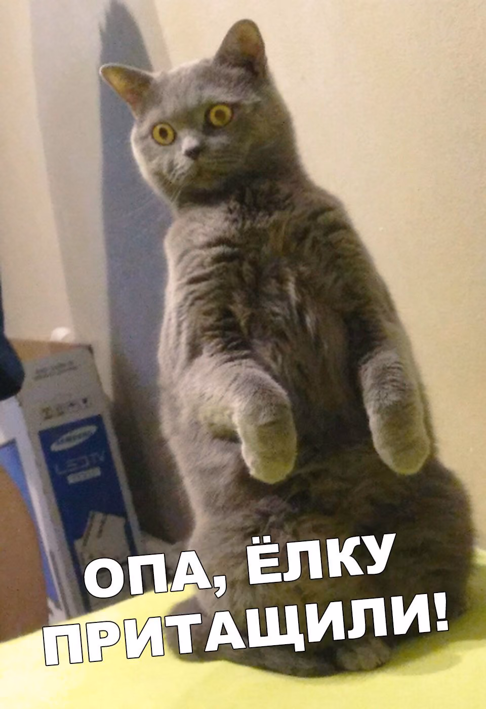 778eb49da5002b77e4ce709a76dc1281.jpg