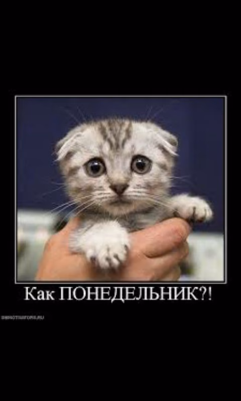 778f8033180674be152696e75cbfd841.avif