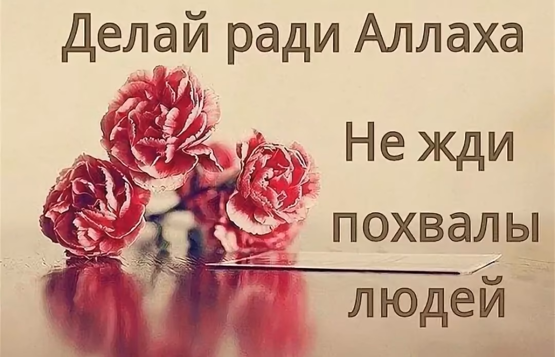 7792f81908e6215667aa8311e5732476.avif