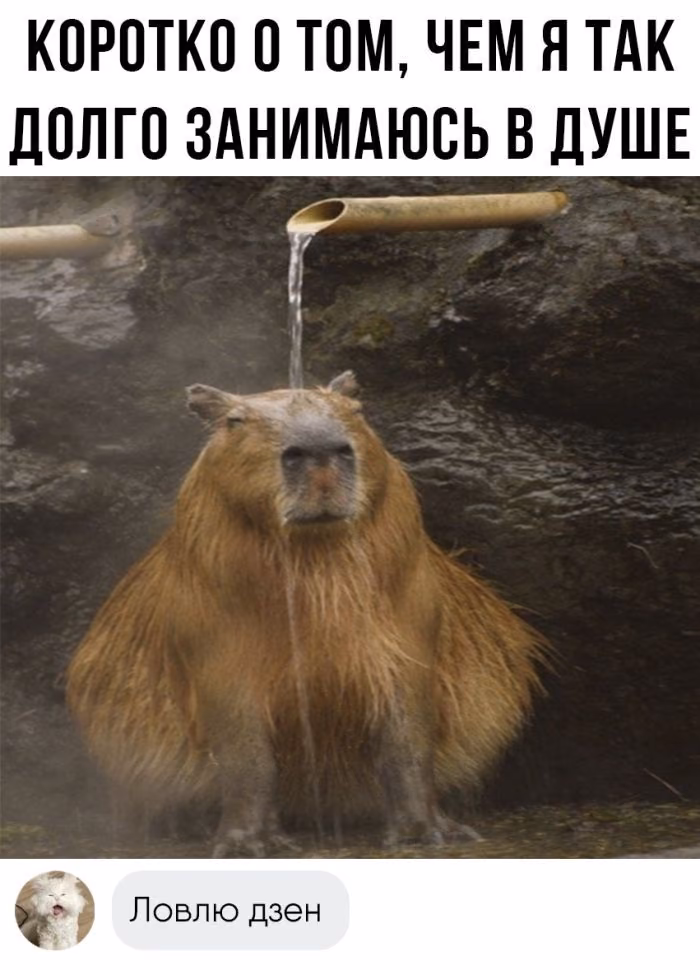 77a1d8de50293bcb2071350d7801a6a8.jpg