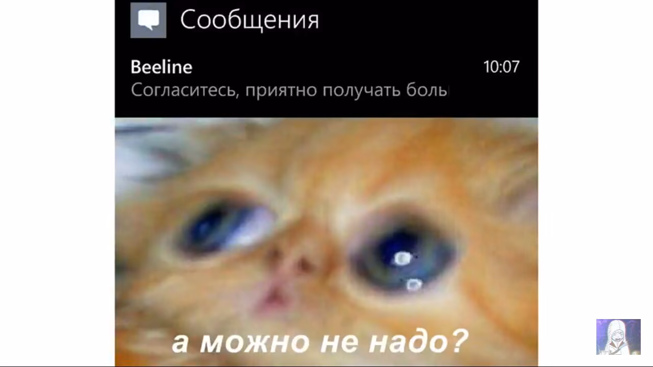77ac07a71df7ce6b76de61053c3e8e5f.jpg