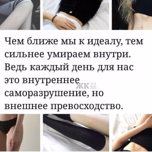 77b0d9d11d848308188ecf7b6b51b678.avif