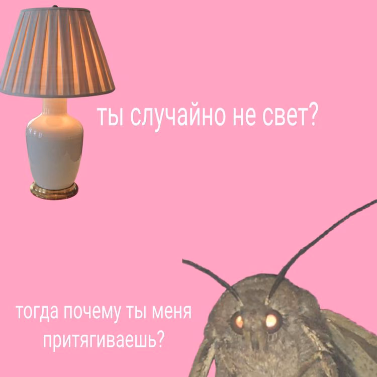 77b4f00d0a1201f3aea5cce6e9e05bb6.jpg