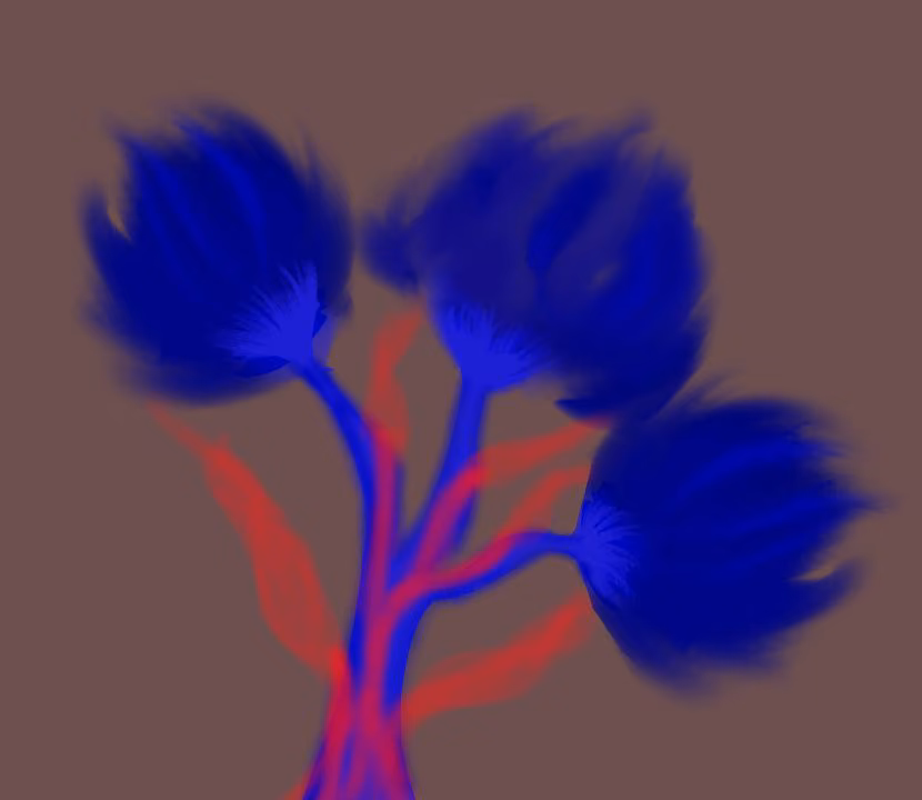 77b558f34bdd515a24977ff2b495e83b.avif