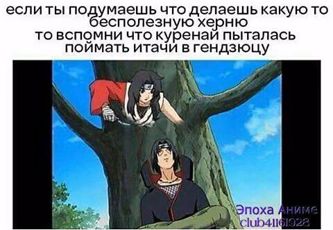 77b655ff9a915ed3eab241e307b04f24.jpg