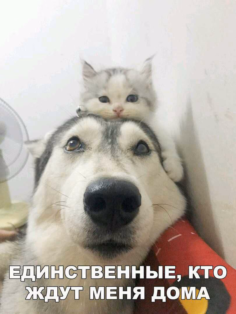 77b915ccdd69b6ad537eeb03002bde25.avif