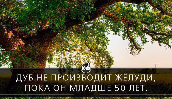 77c5d305656140540481a86fb42566fc.avif