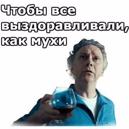 77c8ef21da260a8f997cac5d723d8b0a.avif