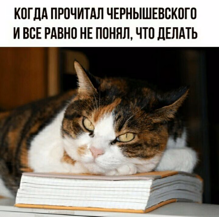 77cf8803d5b6cfbf0dd2adf828e1d054.jpg
