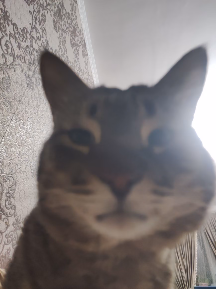 77d77ea7f03acedf742fdfca1ccfe886.jpg