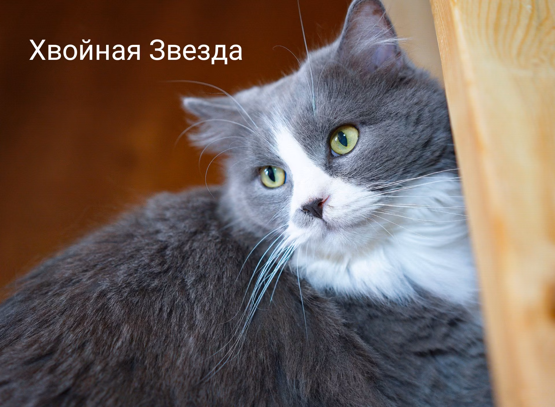 77d7b63139a8c5d1df5975ce07c9b965.jpg