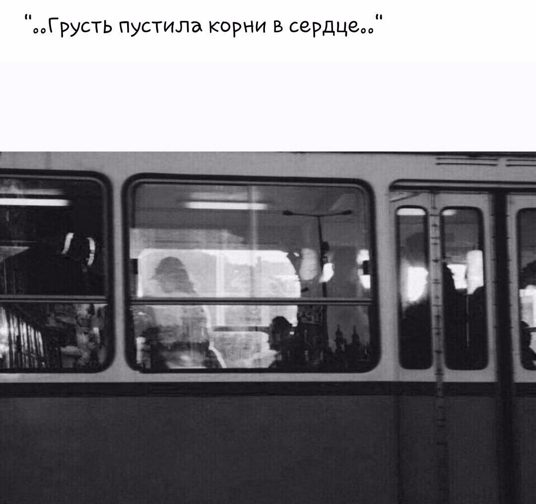 77deb54c1a65d072993f20ab3f2630f0.avif