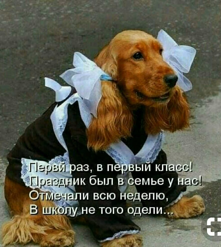 77ecfb2ad19f91f9cb42fd529380aed7.jpg