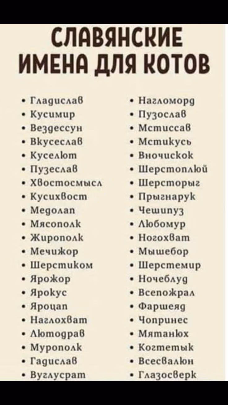 7805b02b453fd5b9bacdf45190fb7fe3.avif