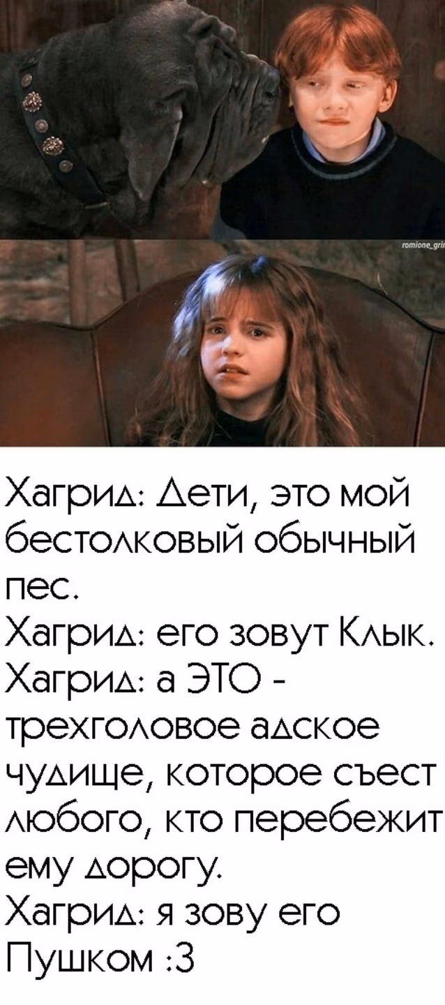 781d0baa1ddc2cca9b7ef35087d5e901.avif