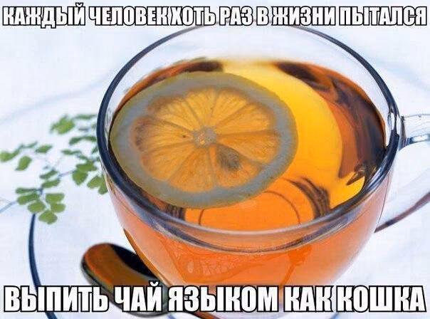 781dc059ab070f6ba89c8d64476c30dd.jpg