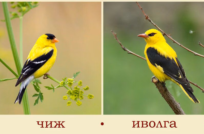 78212f9eda68771e7cce58d2ffe48f10.avif